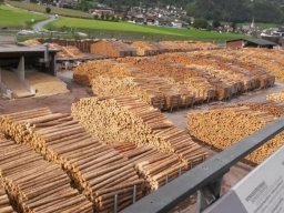 k_herbstexkursion_img-20180923-wa0014